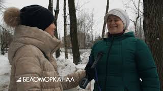 картинка: Собака-проводник стала «глазами» незрячей северянки 📹 TV29.RU (Северодвинск)
