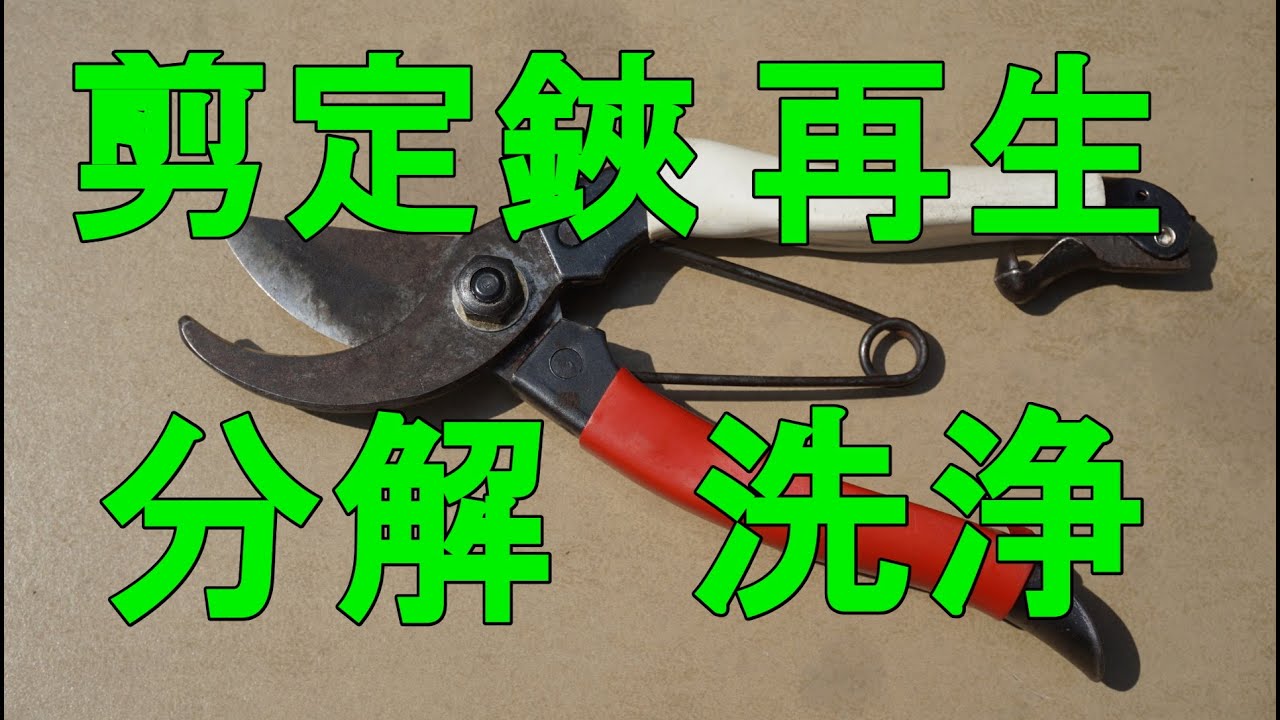 【DIY】分解洗浄でよみがえる剪定バサミ