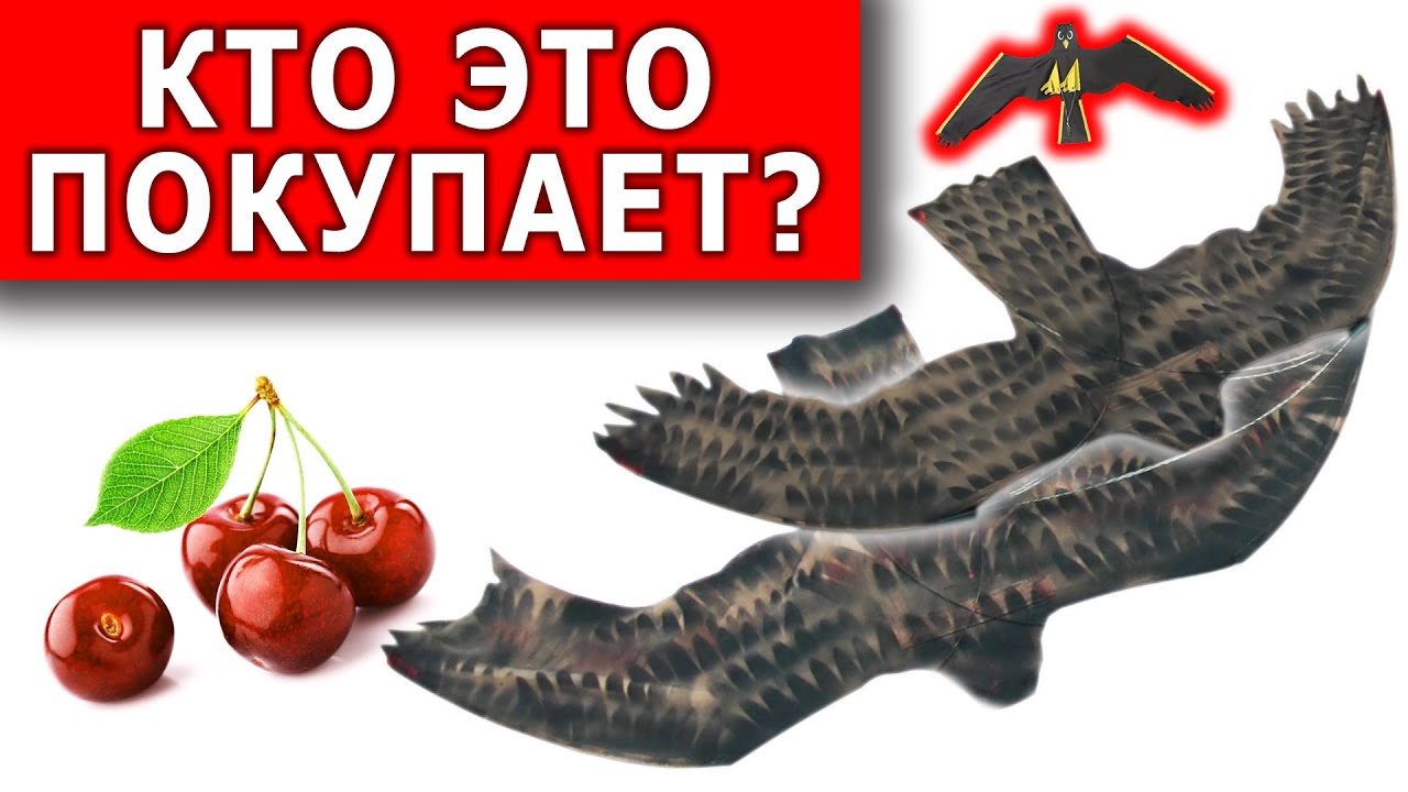 ПОЖАЛУЙ ЭТО ЛУЧШИЙ ОТПУГИВАТЕЛЬ ПТИЦ и 100% способ защиты ЯГОД от .