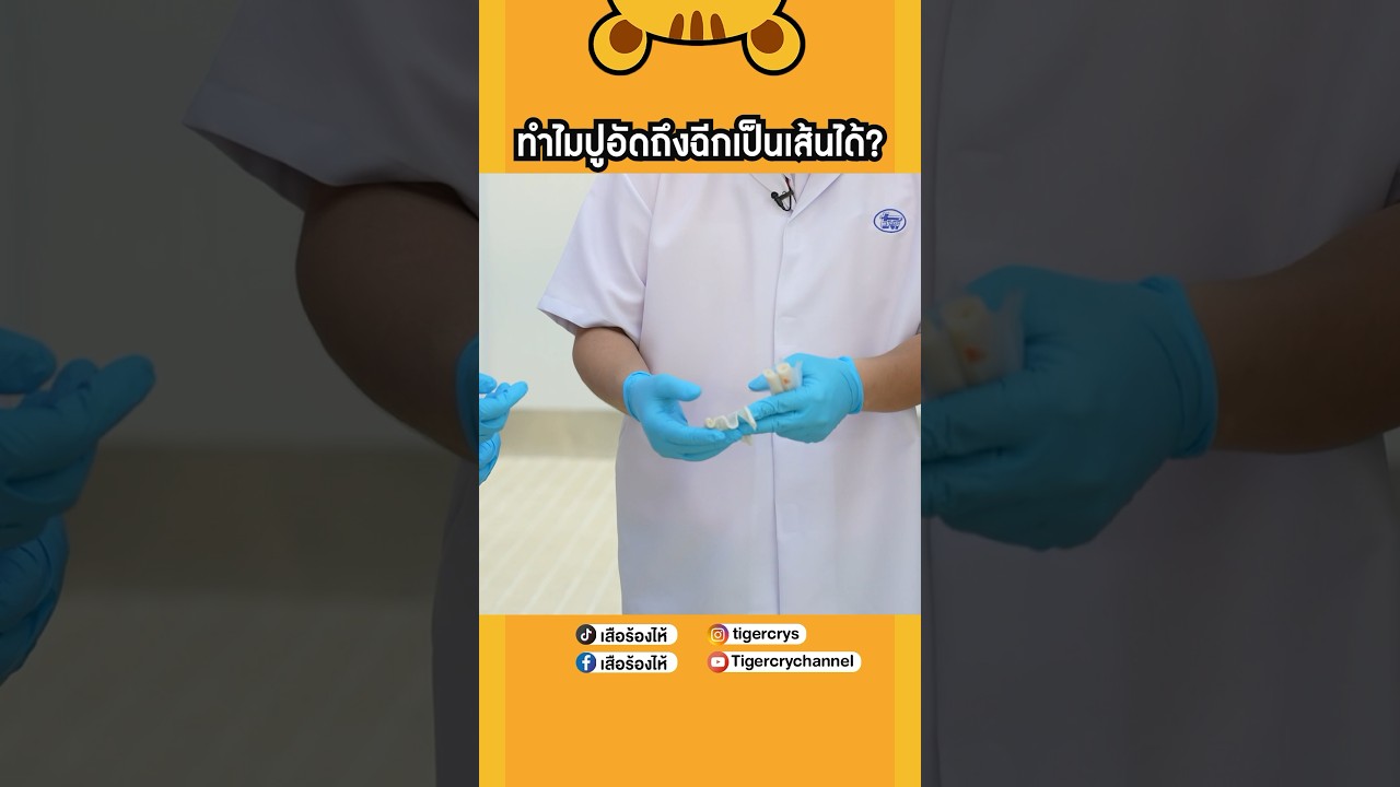 สงสัยกันไหมว่าปูอัดฉีกเป็นเส้นได้ยังไง #เสือร้องไห้ #TigerShorts #shorts #ปูอัด