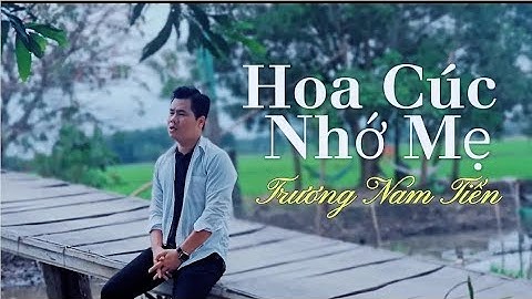 HOA CÚC NHỚ MẸ | QUỐC ĐẠI | SÁNG TÁC : MINH VY | COVER TRƯƠNG NAM TIẾN