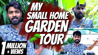 My Small Home Garden Tour   | Plants Collection | Mr. Makapa