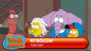 Kral Şakir 47 Bölüm - Çatı Katı