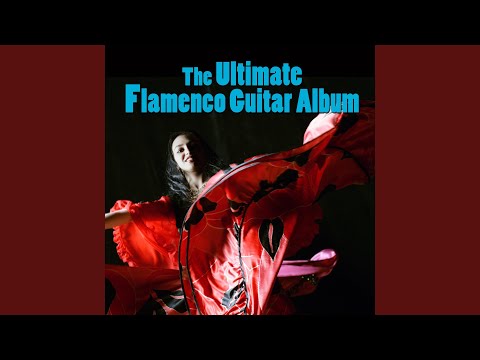 Vivaldi: Concerto In B Minor For 4 Violins & Cello, Op. 3/10, RV 580, "L’Estro Armonico #10" -...