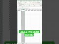 Top 4 Excel Shortcuts You’ll Wish You Knew Earlier | Shortcuts जो हर Pro Use करता है #shorts