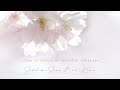 Cem Adrian Hande Mehan Sevdim Seni Bir Kere Official Audio