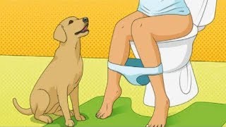 Das ist der Grund, wieso Hunde dir ins Badezimmer folgen!