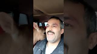 Çılgın Rizeli Buzak Arabada Buzakla Sohbeti