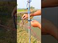 Perfect Rope Knot on Steel Pole | Smart Knot Tying Trick 🔥 #Shorts#RopeKnot#KnotTying#Satisfyin