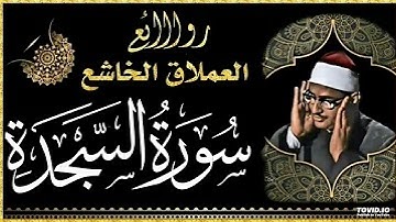 تلاوة خاشعة تنفطر لها القلوب | لفضيلة القارئ الشيخ محمد صديق المنشاوي | ماتيسرله من سورة السجدة