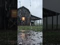 Rainy Barn Ambience 🌧️ Old Country Storm Sounds #rain
