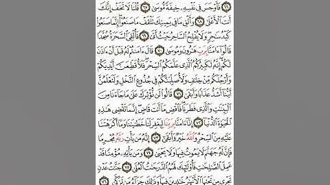 سورة طه كاملة مرتلة من تلاوات المحراب القارئ محمد الدرنكي رمضان ١٤٤٦ هـ surah taha qari aldronki