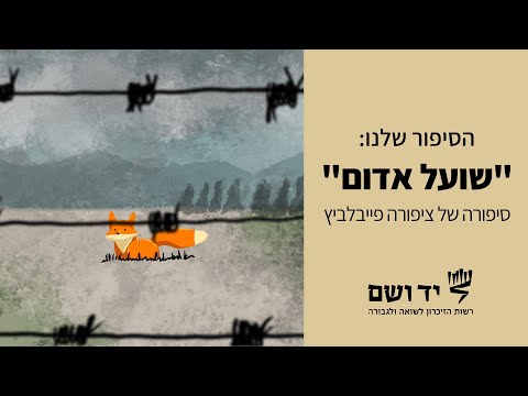 וִידֵאוֹ: שועל אדום: תכונות מעניינות