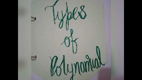 maths portfolio,class 9th ,polynomial