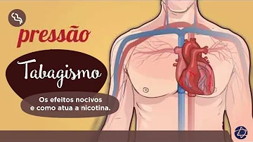 Quais os produtos que contêm nicotina?