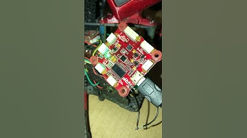 FL1 Revolt OsD Brick