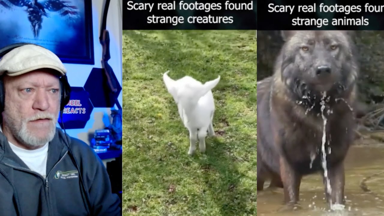 Creepy TikToks That Will Make You Question Everything You See (Part 12 Creepy TikToks That Will Make You Question Everything You See (Part 12