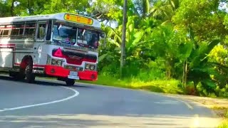 Apa boy bus අපා බොයි බස් හැඩවුනු අපා@brownboylk