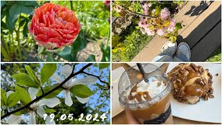 VLOG #116. Ботанический сад | цветение тюльпанов | синнабон