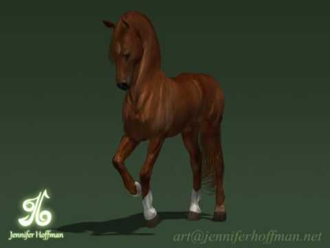 Dancing Horse - YouTube
