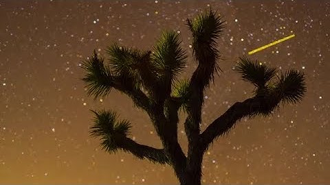 Starry Night In Joshua Tree Stock Video