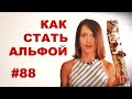 Как стать альфой? (если тебе это надо) // Всё как у зверей #88