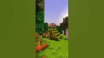 Minecraft Vanilla Compared to Shaders: The Ultimate Visual Upgrade #shorts #minecraft #memes