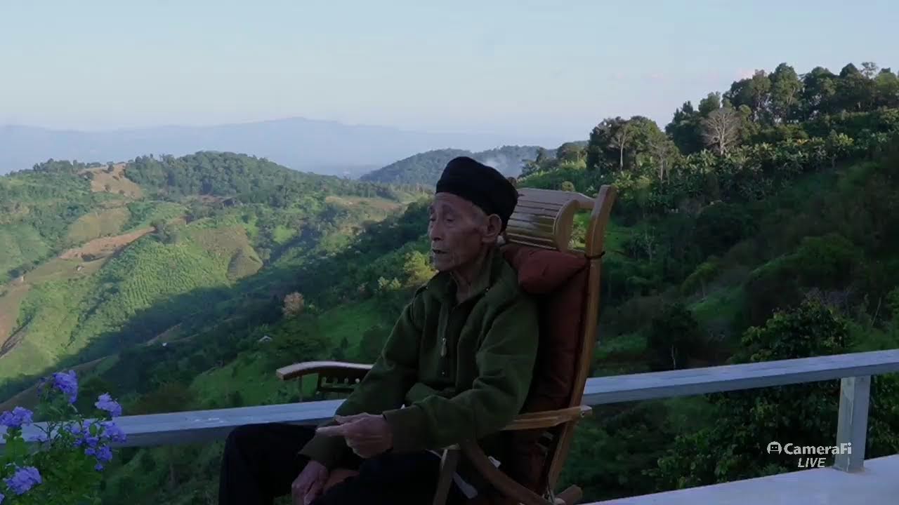 Трансляция фермы WOIMAE