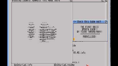 Liquid Bilberries / BC! (Assembly 1995 Amiga 40kB intro)
