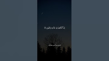 ﴿إِنَّ الْمُتَّقِينَ فِي جَنَّاتٍ وَعُيُونٍ ﴾. سورة الذاريات