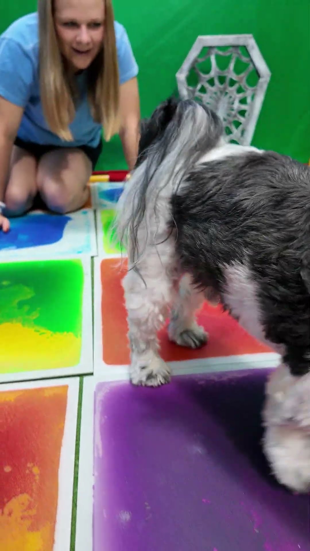 Assistant's Dogs Wiggles Waggles \u0026 Waffles Chase the Halloween Robot Scorpion #FunnyDogs #FamilyFun
