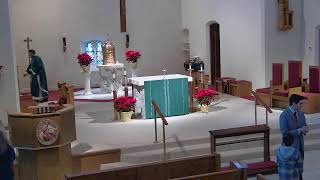 5th Sunday, Year A - 8 Feb 26