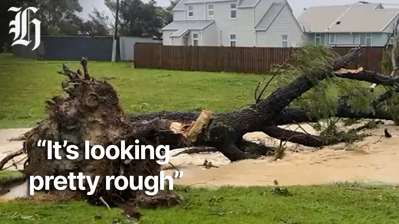 Wellington weather: Collosal wave recorded overnight, thousands still without power | Herald NOW