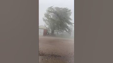 Wind Power & Rain