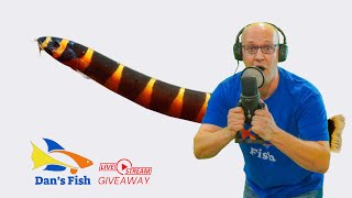 Ep.298 Kuhli Loach GIVEAWAY