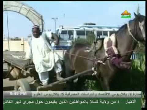 جمال حسن سعيد دعوة للجميع لمشاهدة هذا الفيديو وآمل ألا يضيع وسط الزحمة