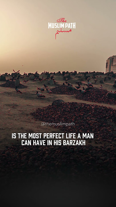 Say Salam to the Prophet and He Will Respond