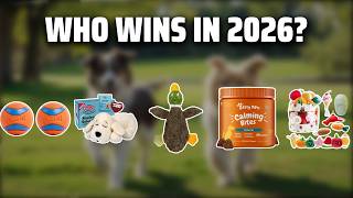 The Top 5 Best Dog Tota in 2026 - Must Watch Before Buying!