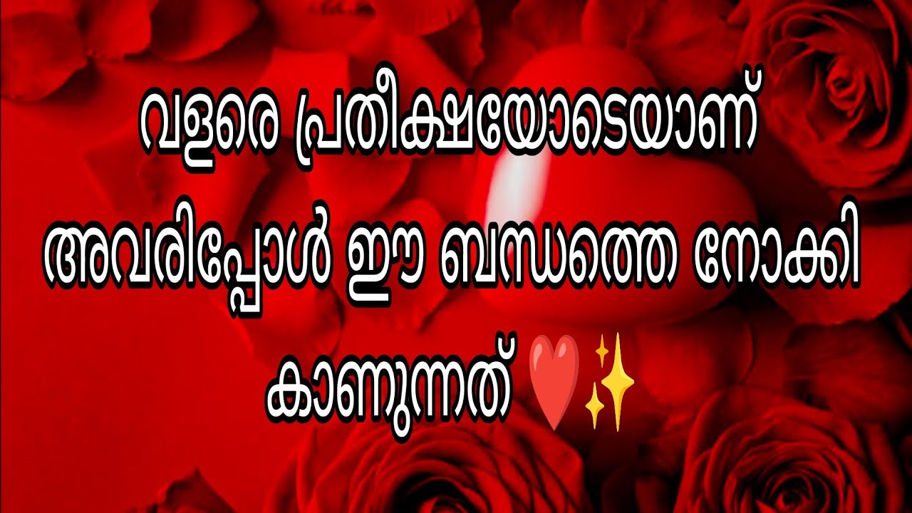 അവരിപ്പോൾ വളരെ പ്രതീക്ഷയോടെയാണ്‌ ഈ ബന്ധത്തെ നോക്കി കാണുന്നത് ❤️✨