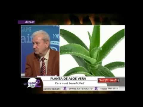 Video: Cum Se Utilizează Planta Aloe Vera: Beneficii, Riscuri și Multe Altele