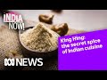 King hing the secret spice of indian cuisine  india now  abc news
