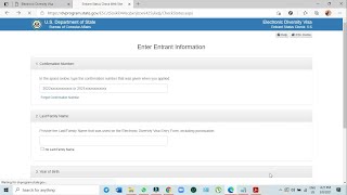 How To Fill The DV Lottery Application Form Correctly |  Guide (DV 2024)