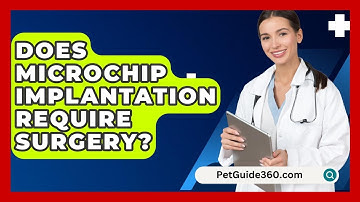 Does Microchip Implantation Require Surgery? - PetGuide360.com