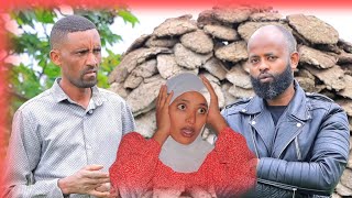 😭Dhamsa oboleessi kiyyaa caaltutii dhamate yeroo jalqabatif😭