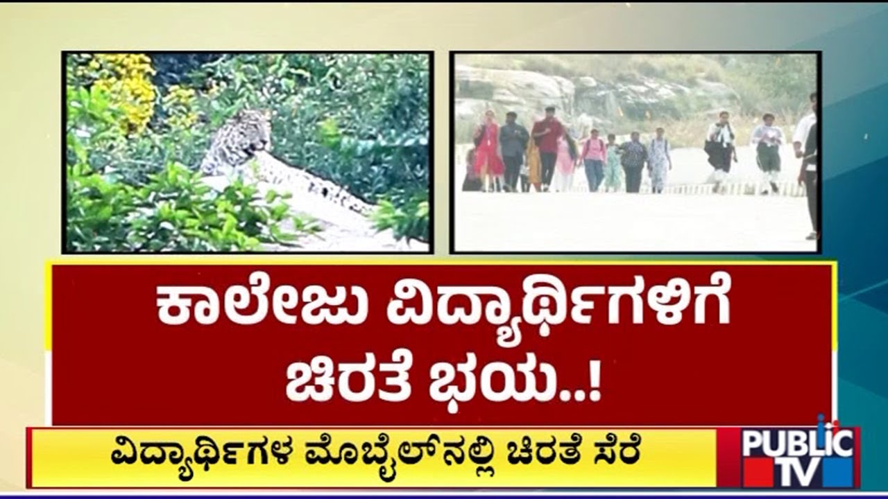 Chikkaballapura VTU Students In Fear Of Leopard | Public TV
