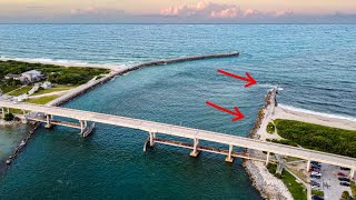Sebastian Inlet Fish Frenzy! Fishing with Live Bait 🐟 🎣 (+40" Snook)