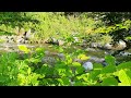 #구례달궁자동차야영장계곡3.~#오전 ~#손미영알토색소폰ㆍ플루트연주
