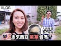 Vlog #64 馬來西亞燕窩貴嗎？｜進入燕窩屋+製作過程