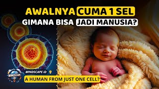 AWALNYA CUMA 1 SEL, GIMANA BISA JADI MANUSIA? | Fakta Menakjubkan Tentang Siklus Hidup Manusia