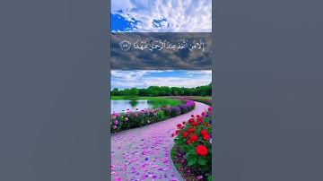 ما شاء الله تبارك الله تلاوة خاشعة رائعة تريح القلوب و العقول